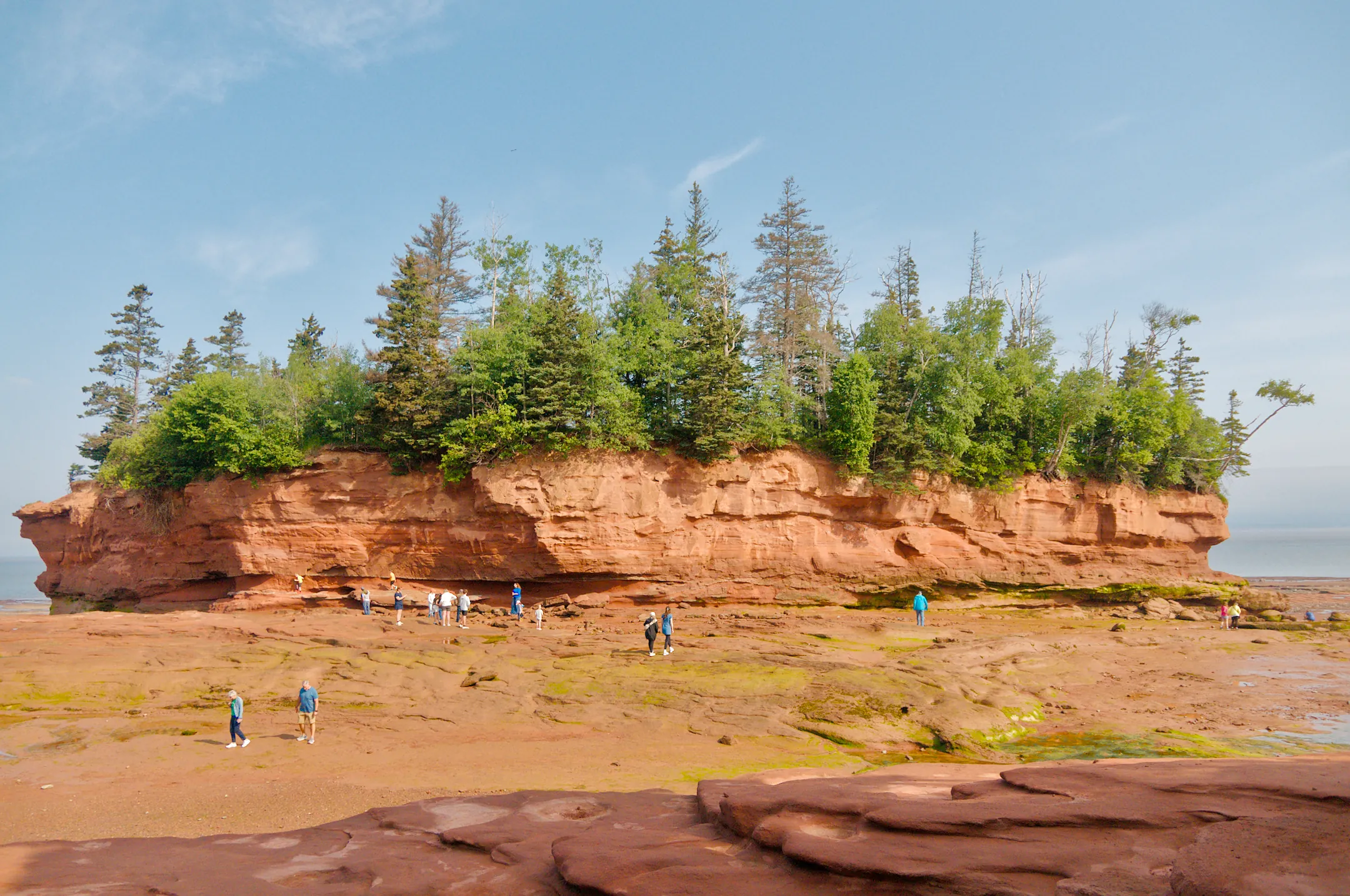 Burntcoat Head Park