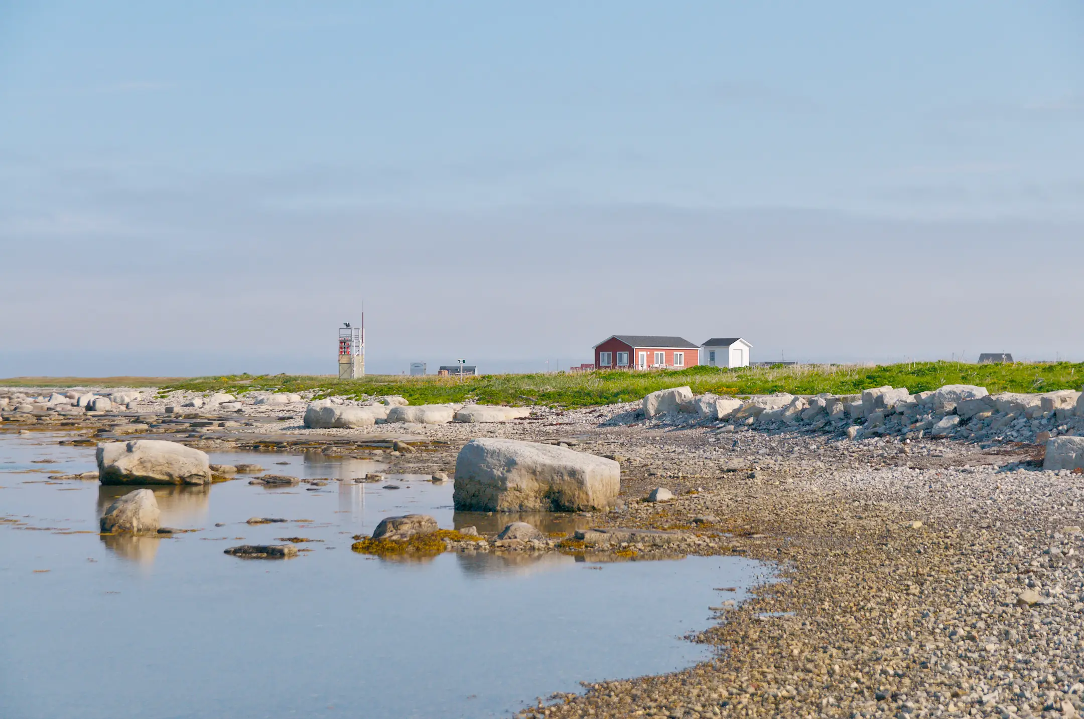 Thrombolites from the town of Flower&rsquo;s Cove