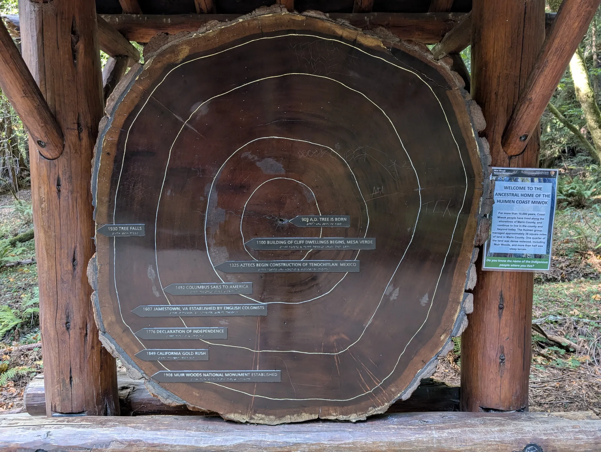 Fallen tree trunk marked with historic events